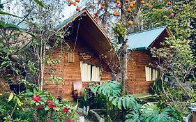 Nobita Homestay Bac Ha