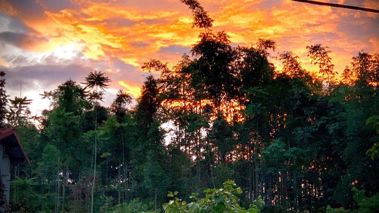 Nobita Homestay Bac Ha エクステリア 写真